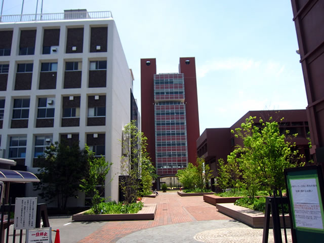 聖トマス大学